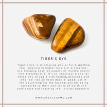 Load image into Gallery viewer, Tiger&#39;s Eye (Northern Cape, South Africa)
